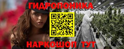 стафф Кинель