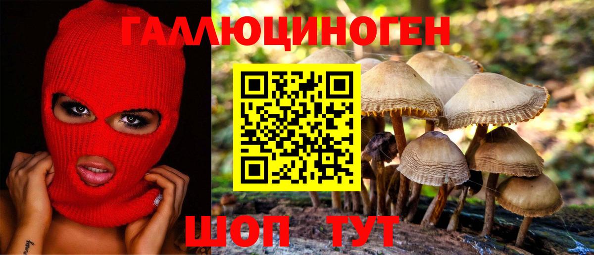 Кореновск  Псилоцибиновые грибы Psilocybine cubensis  даркнет сайт  Вход с VPN 