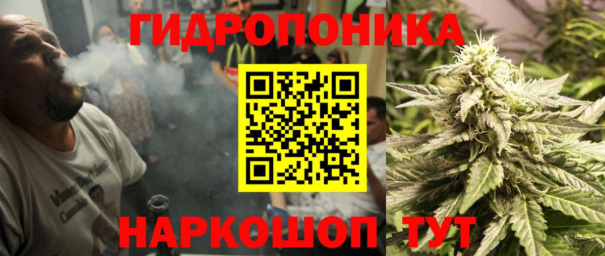 МАРИХУАНА конопля  Каннабис сатива  Вход с VPN  Кореновск  Каннабис марихуана 